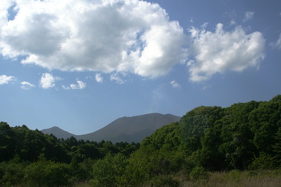 d0090600_11491522.jpg
