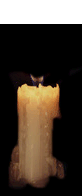b0055202_2225312.gif