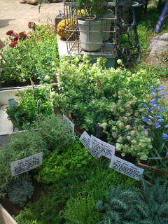 c0229402_0274066.jpg