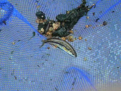f0082402_10335.jpg