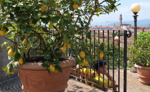 a0207108_772554.jpg