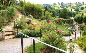 a0207108_77587.jpg