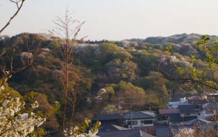 e0078510_1561847.jpg