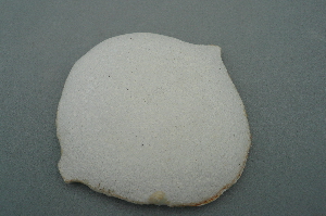 b0125311_1403021.jpg