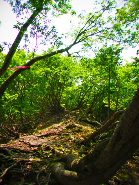 b0183911_14161858.jpg
