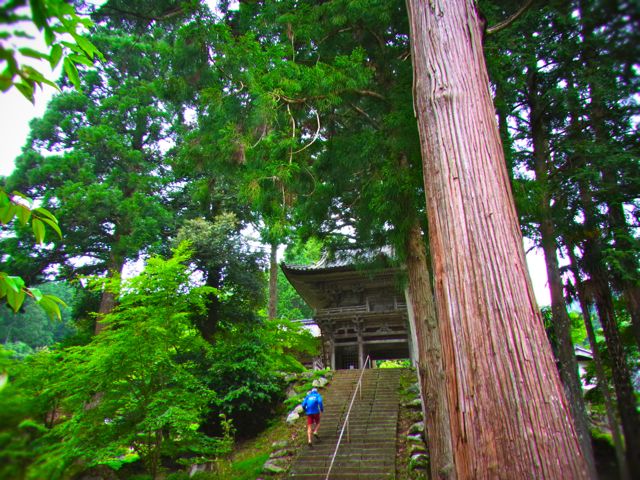 b0183911_1524940.jpg