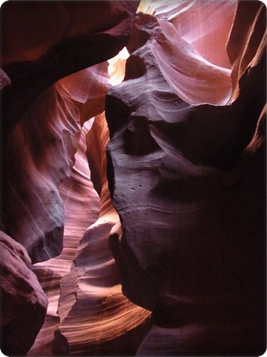 c0223117_1033044.jpg