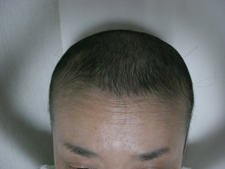 e0205425_1454275.jpg