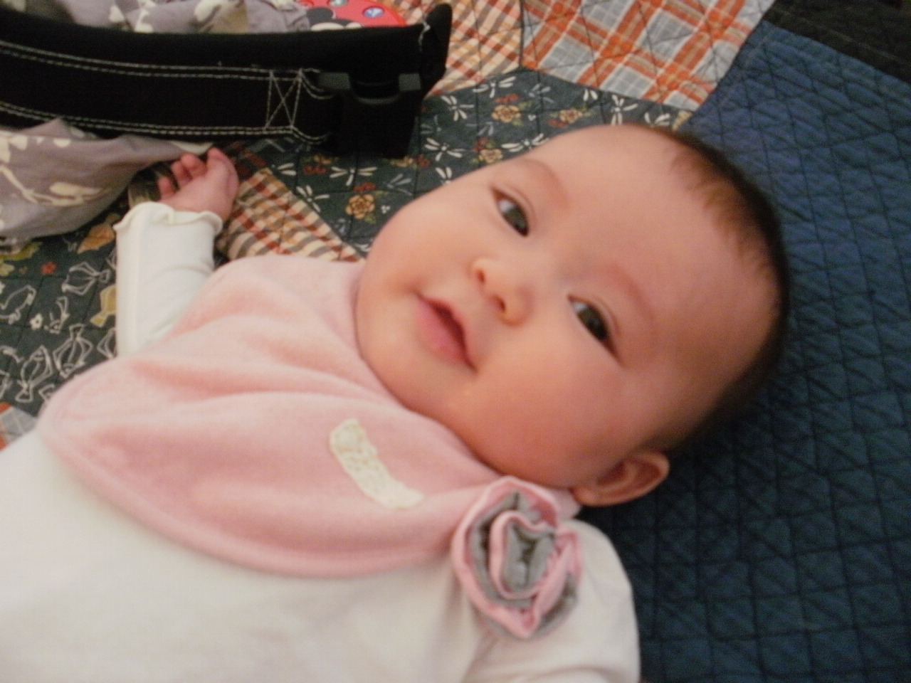 f0095325_9544726.jpg