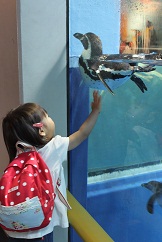 c0157226_023251.jpg