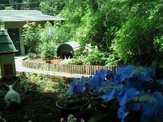 b0046527_9153761.jpg