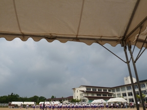 c0100534_1735990.jpg