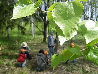 b0196837_11572888.jpg