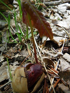 b0196837_11574388.jpg