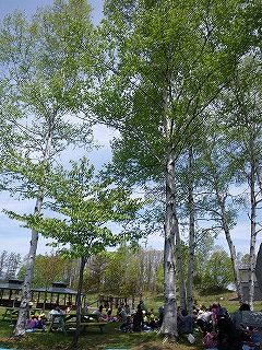b0196837_11581569.jpg