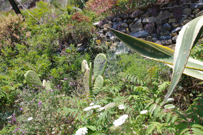 d0092439_5545899.jpg