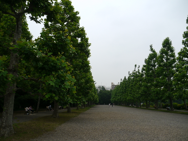 b0190242_2350813.jpg