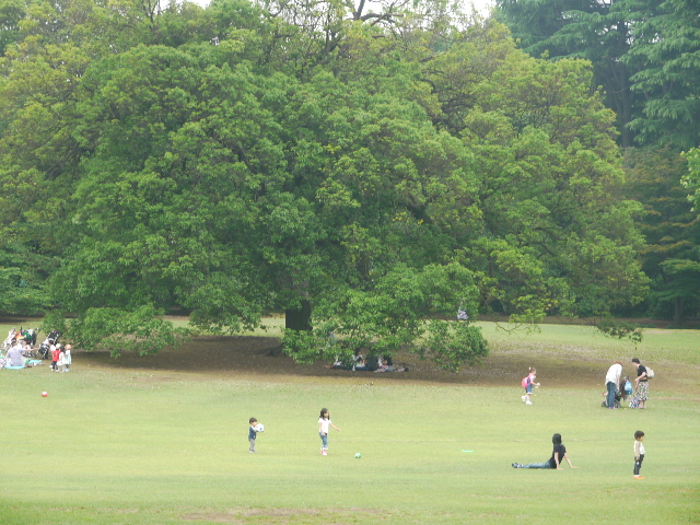 b0190242_23513068.jpg