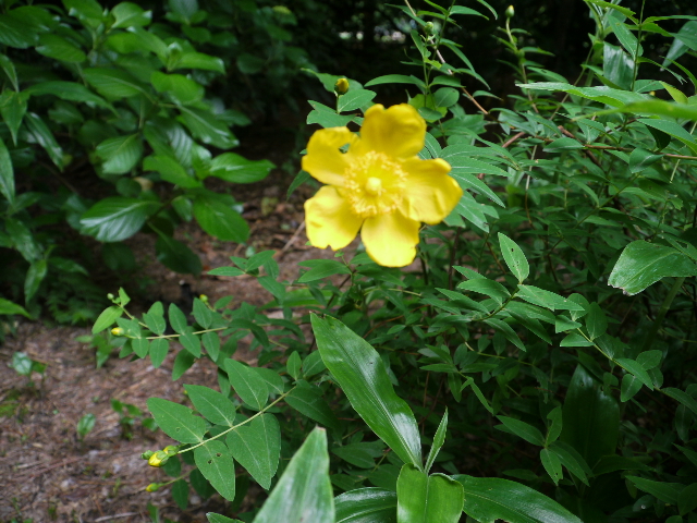 b0190242_23534423.jpg