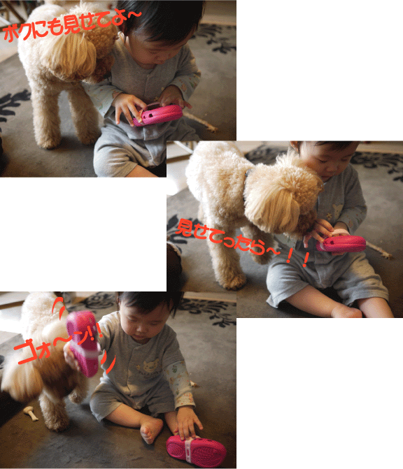 b0182846_175031.gif