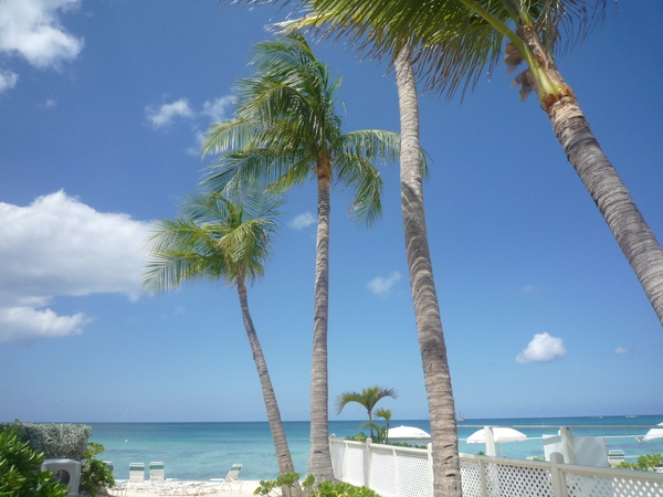 f0235849_17529.jpg