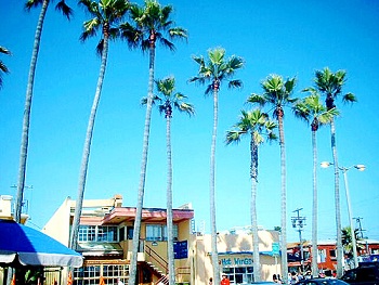 c0217853_132273.jpg