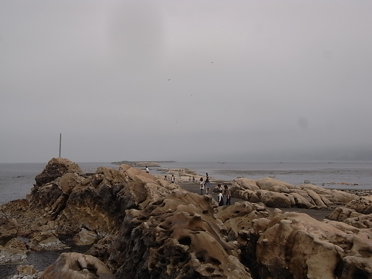 f0178153_13264360.jpg