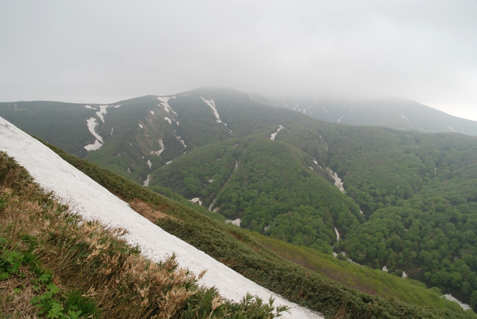 d0169556_1747454.jpg