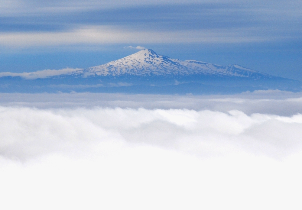 d0169556_1811529.jpg