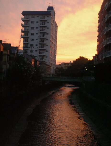 e0083359_2081136.jpg