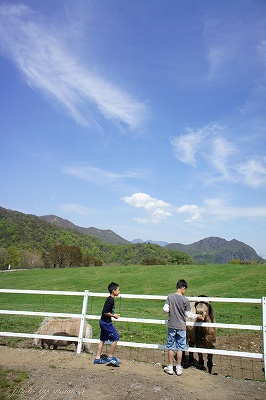 b0102560_6253516.jpg