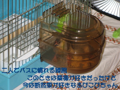 b0158061_22243686.jpg