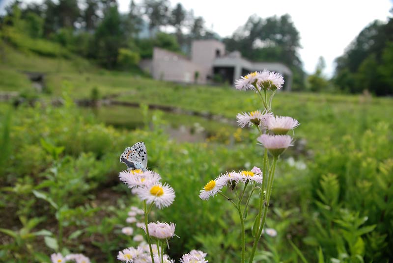 c0043361_002679.jpg