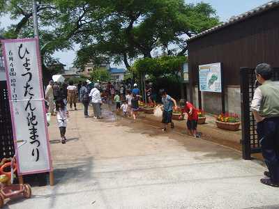 f0062462_2026791.jpg