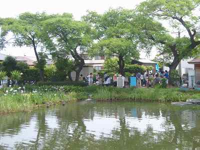 f0062462_20583713.jpg