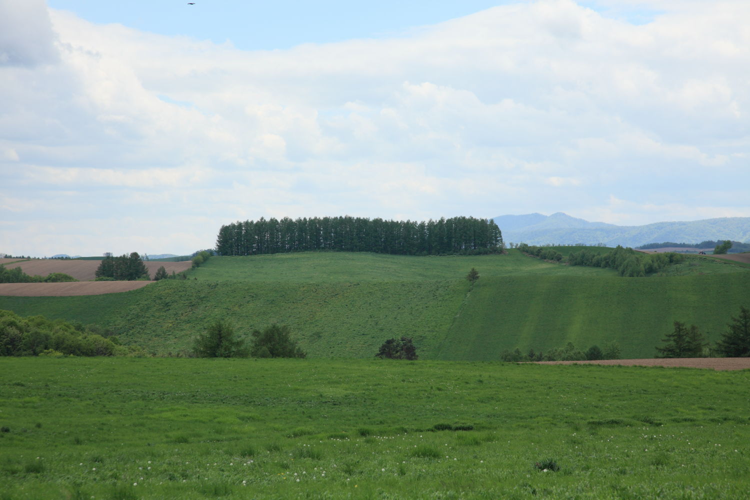f0227662_0495165.jpg