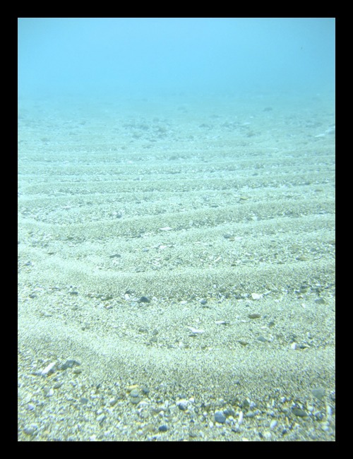 b0062363_19195978.jpg