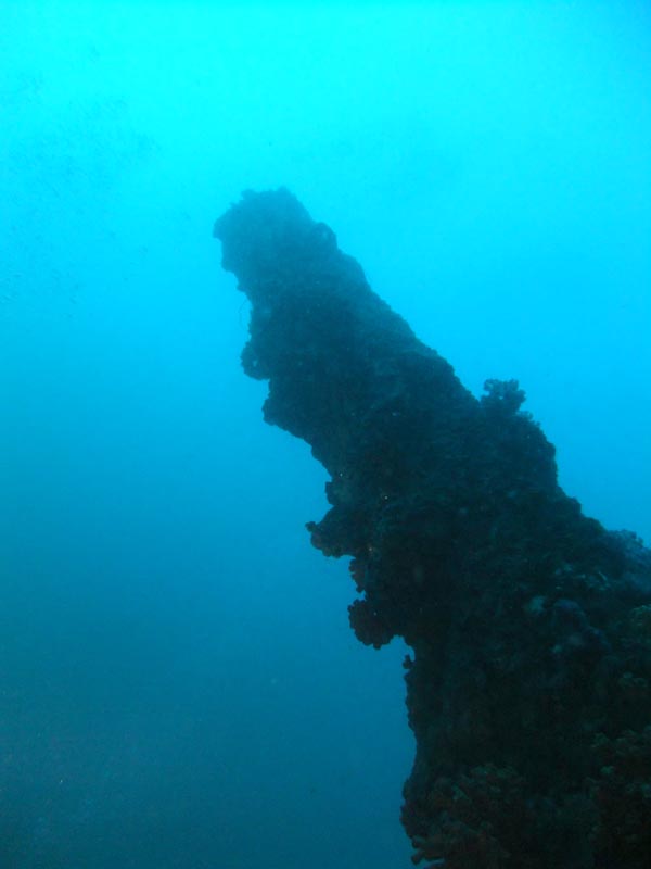 e0137864_19155035.jpg