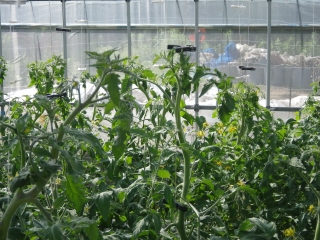 f0055264_0113676.jpg