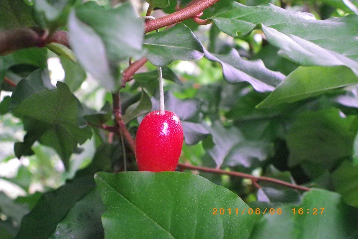 f0016066_12273324.jpg