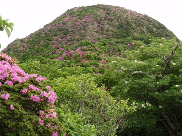 c0042869_2045078.jpg