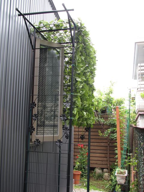 d0005380_15491381.jpg