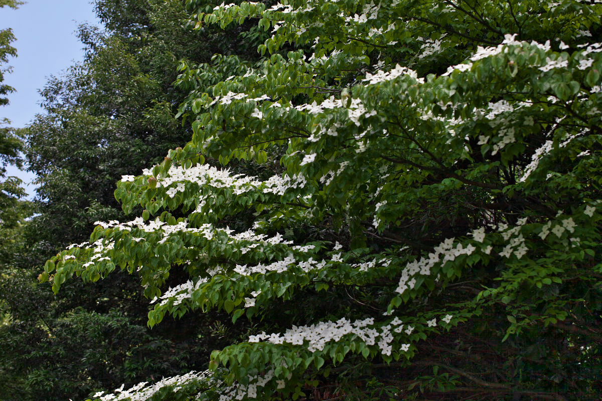 a0083081_127860.jpg