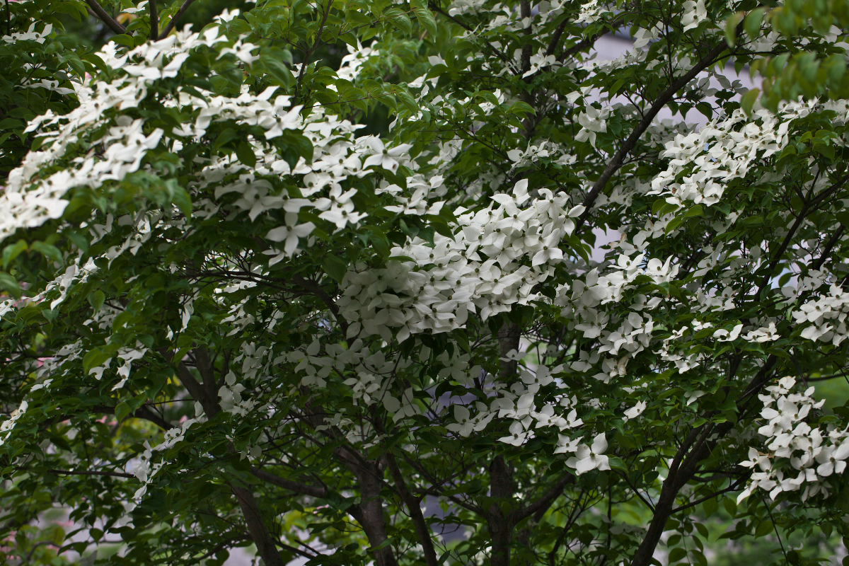 a0083081_1281056.jpg