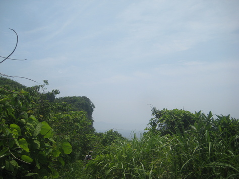 d0174683_3312969.jpg