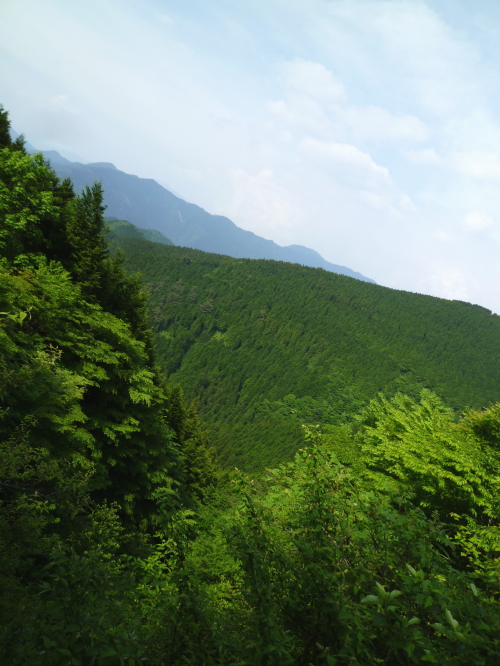 d0179983_21324651.jpg