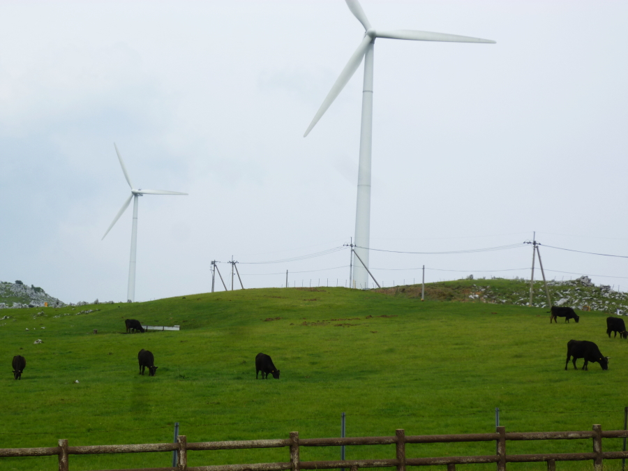 d0179983_21331697.jpg