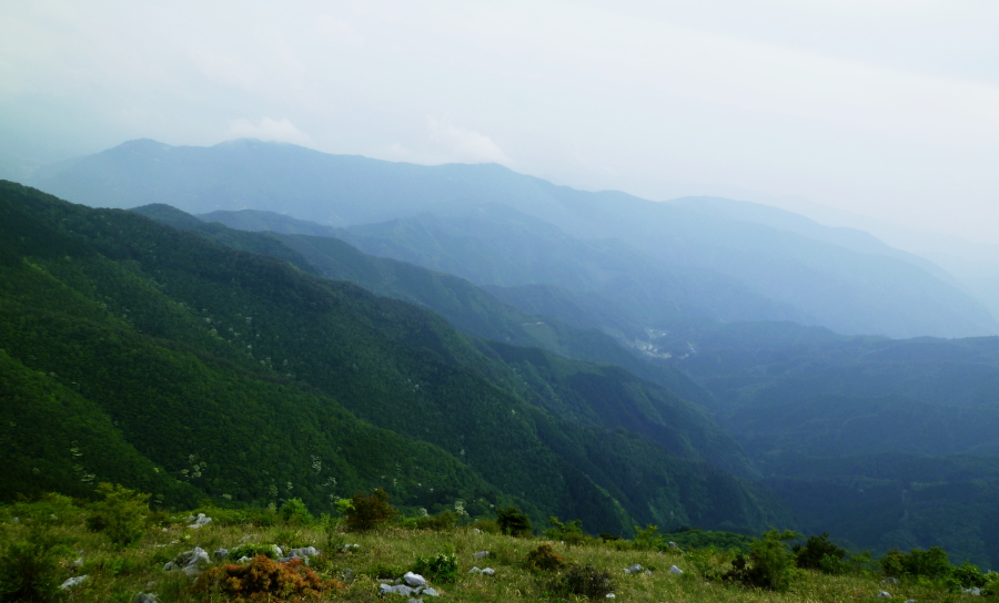 d0179983_21333042.jpg
