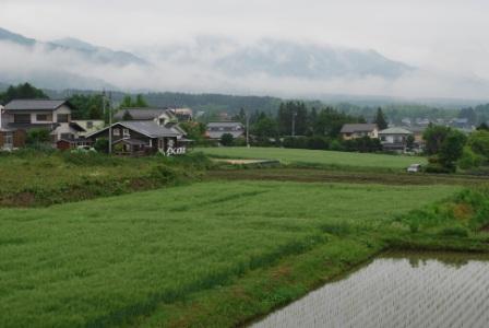a0133886_2051478.jpg