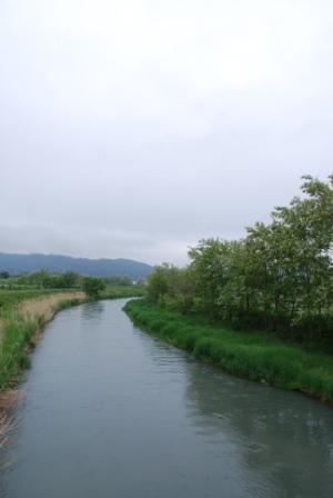a0133886_20521550.jpg